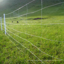 High Strength Galvanized Farm Fence for Australia Market